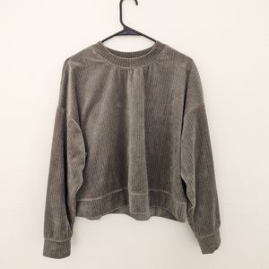H&M Sage Green Velour Ribbed Sweatshirt